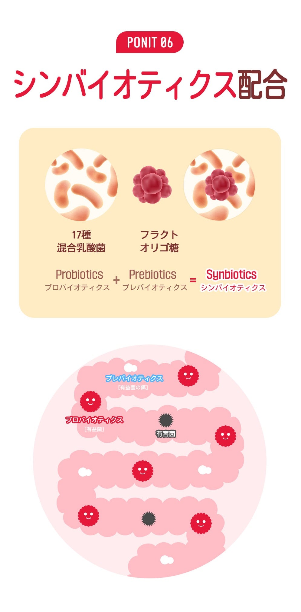 健康な体を作るための選択 酵素ベリー 30個入り 韓国食品